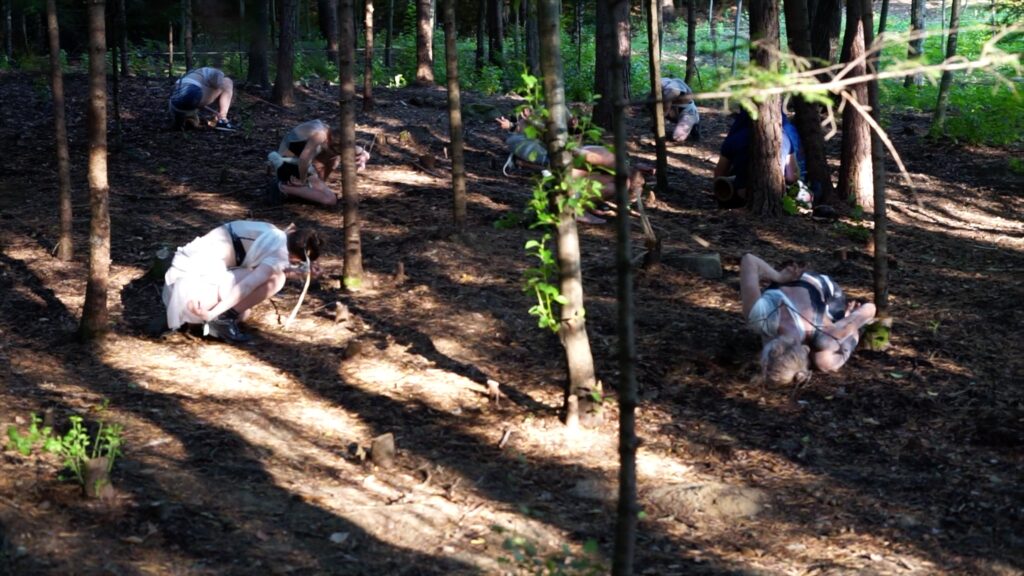 Butoh Trees
Lucru colectiv