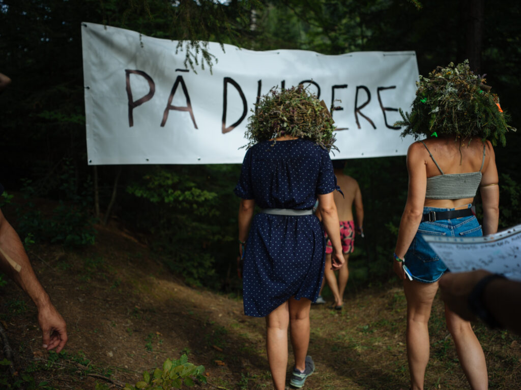 Pădurere
Dan Perjovschi