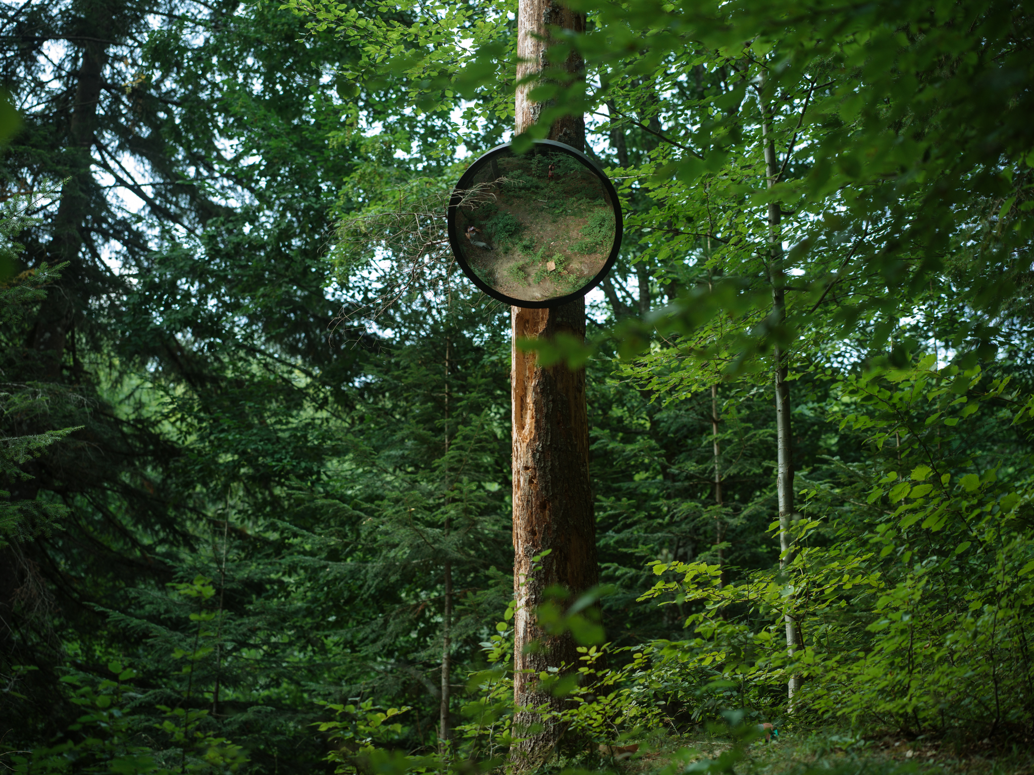 Instalații site specific