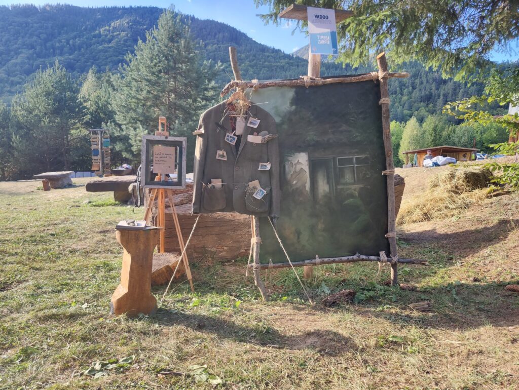 Timeea Zanfir
Instalație in situ